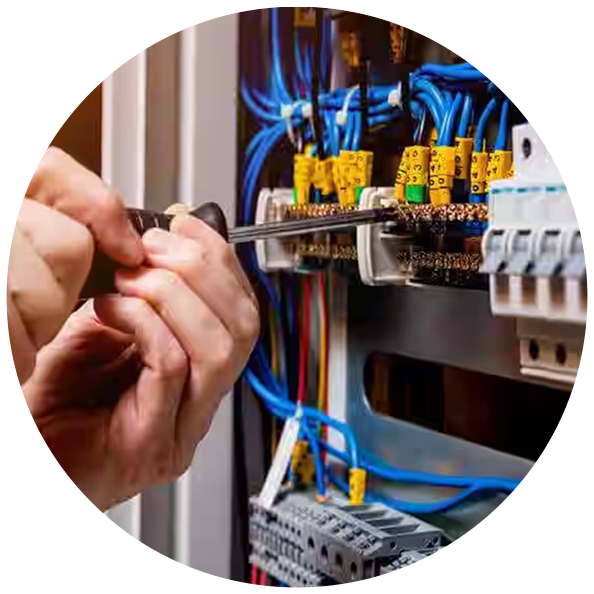 home Page pic electrion